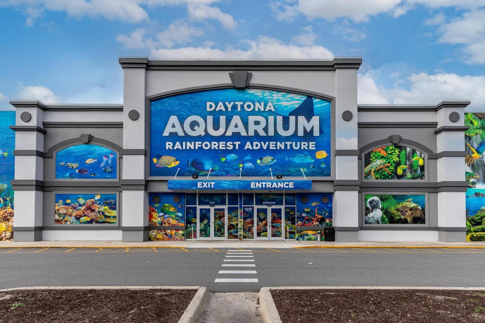 Surfside Club 503 Βίλα Daytona Beach Shores Εξωτερικό φωτογραφία